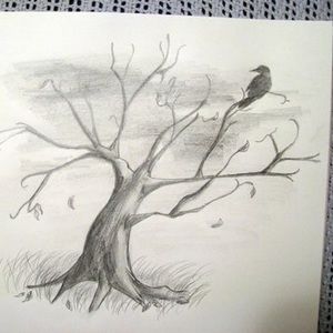 Meet your Posher, Lillian